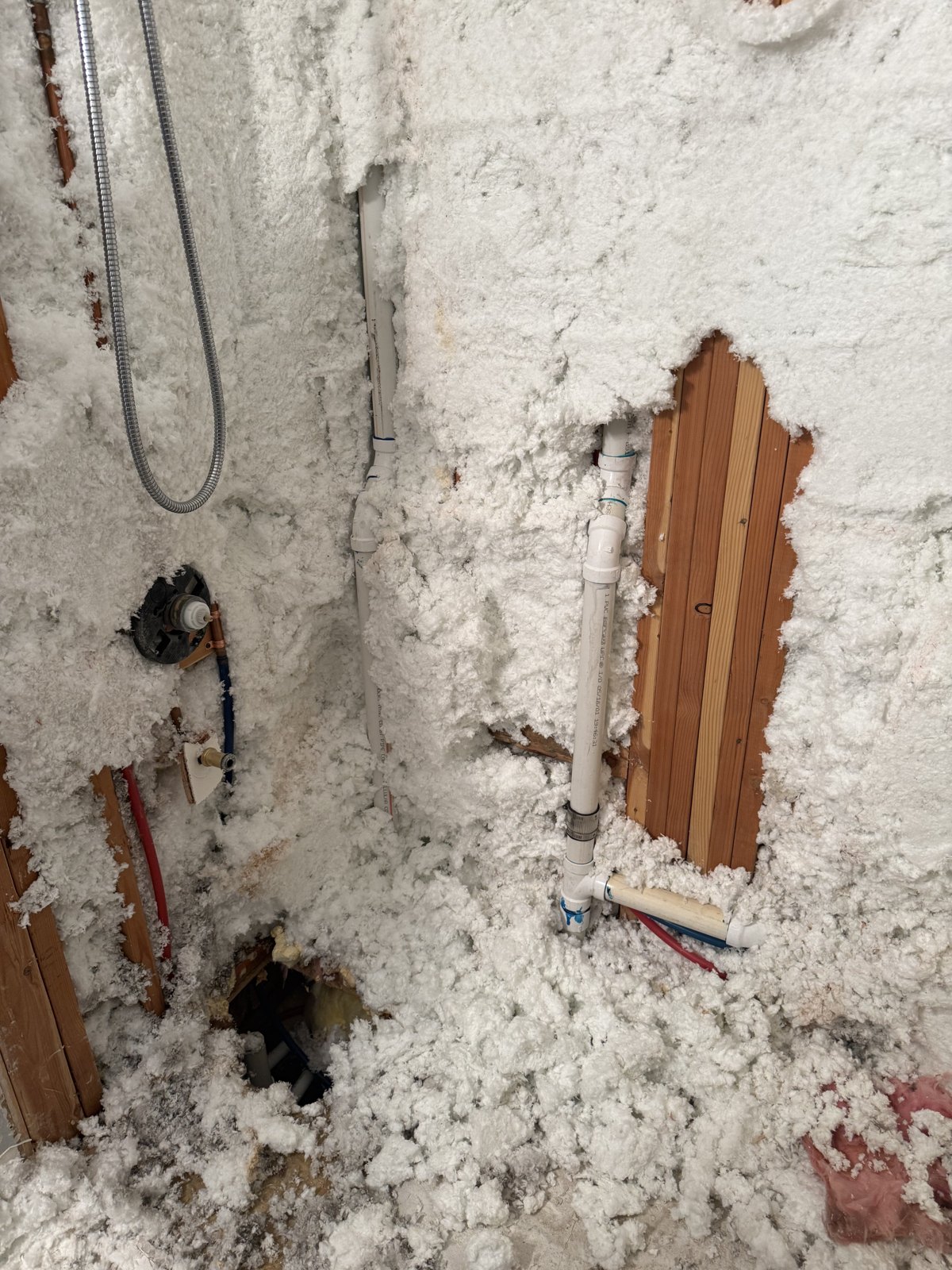 Hidden mold uncovered behind a wall during the remodel