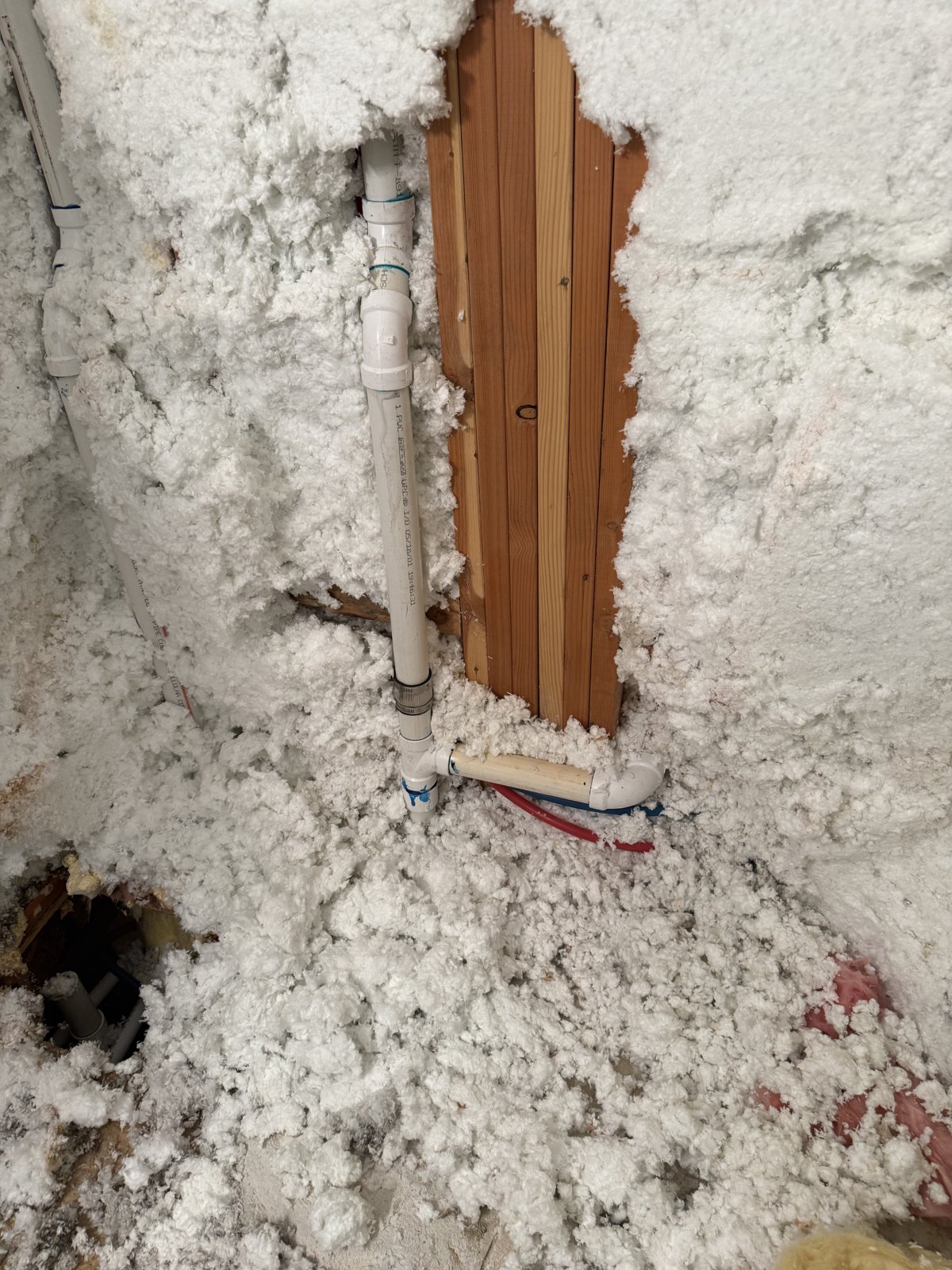 Hidden mold uncovered behind a wall during the remodel