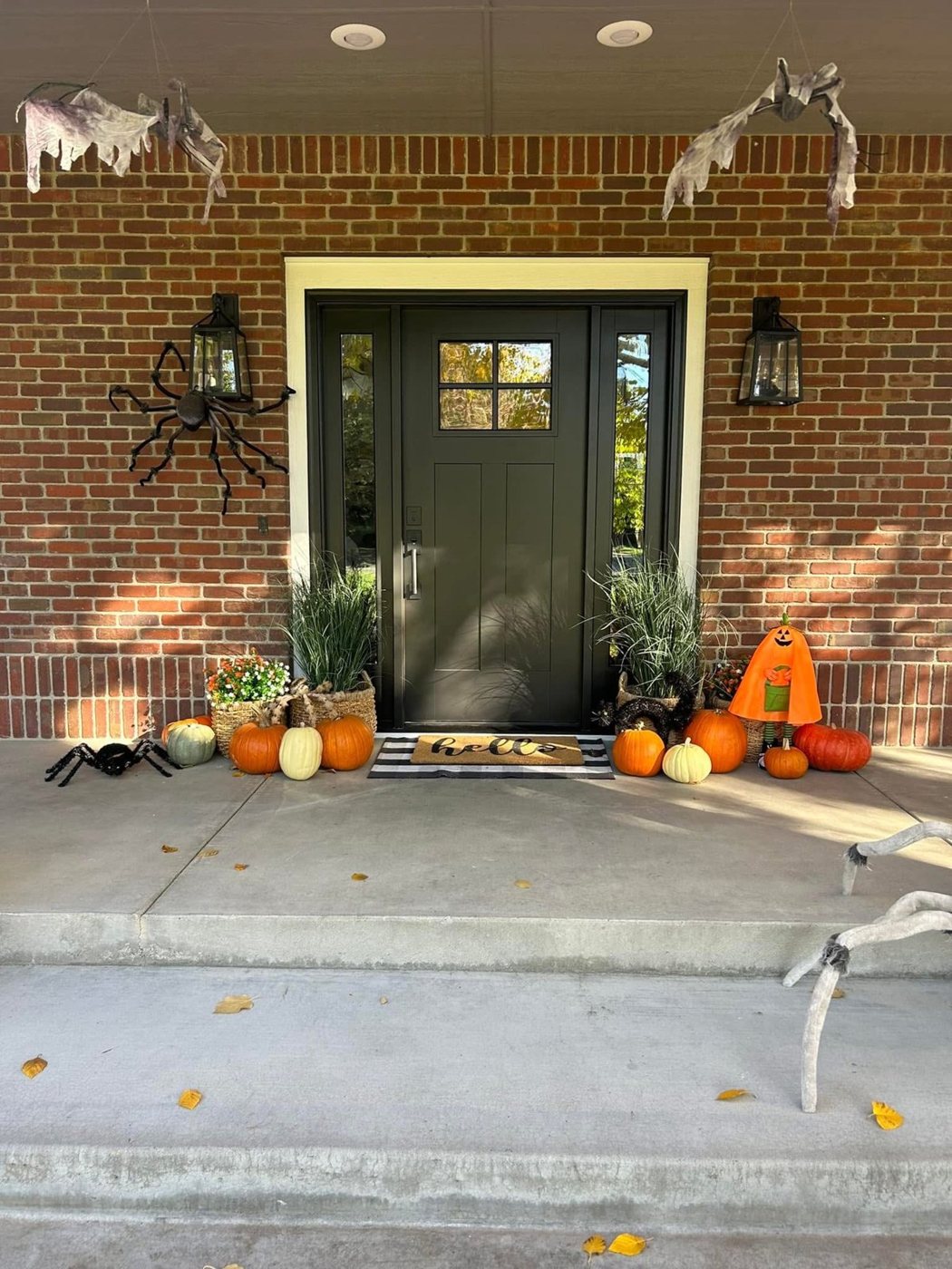 Door & window installation project in the Boise area